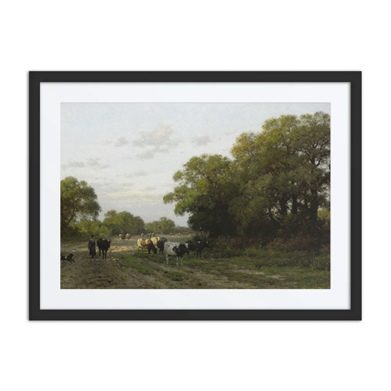 Landschap in Drenthe