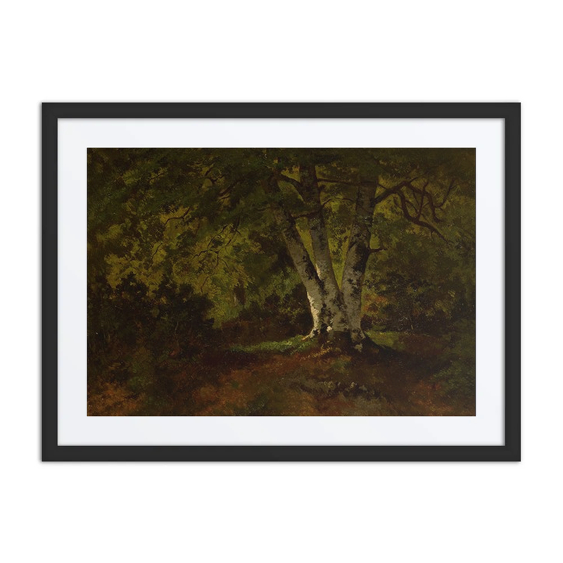 L’Arbre aux Trois Troncs