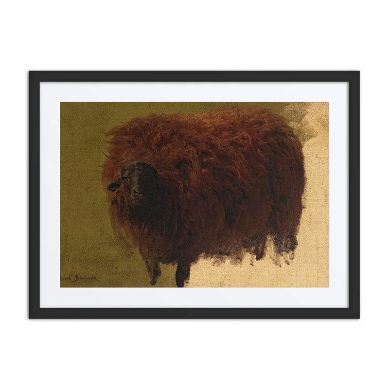 Large Wooly Sheep (Wether)