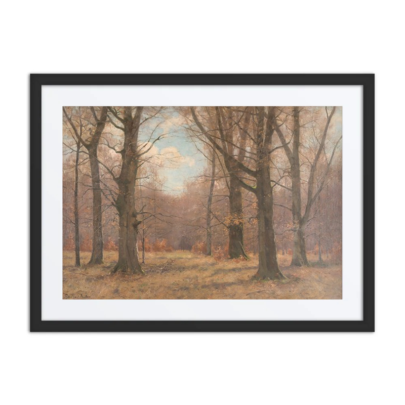 Late Fall in the Beech Forest