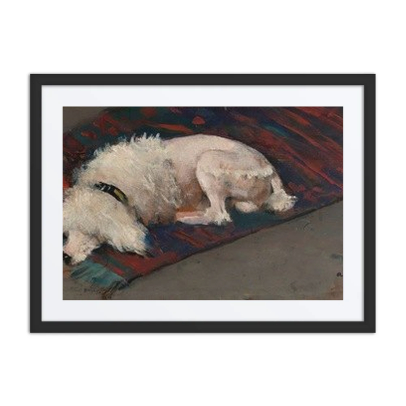 Le Caniche Blanc
