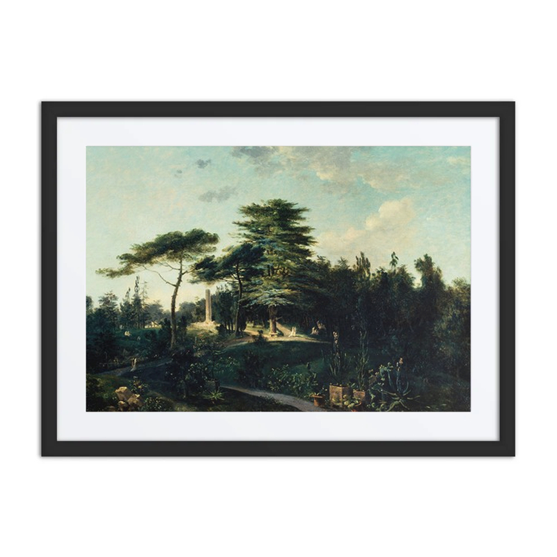Le Cèdre du Liban, Jardin des Plantes