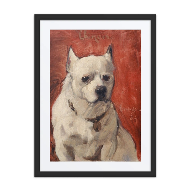 Le Chien ‘chinois’