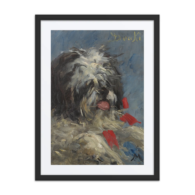 Le Chien ‘Donki’