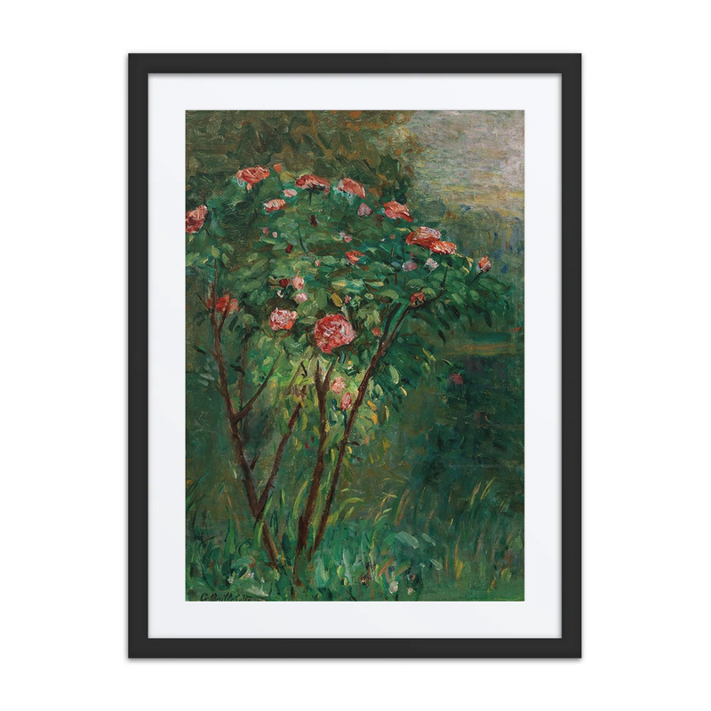 Le Rosier Fleuri