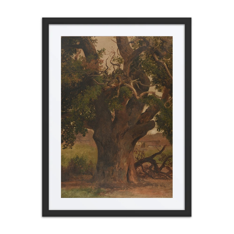 Le Vieux Chêne (Study)