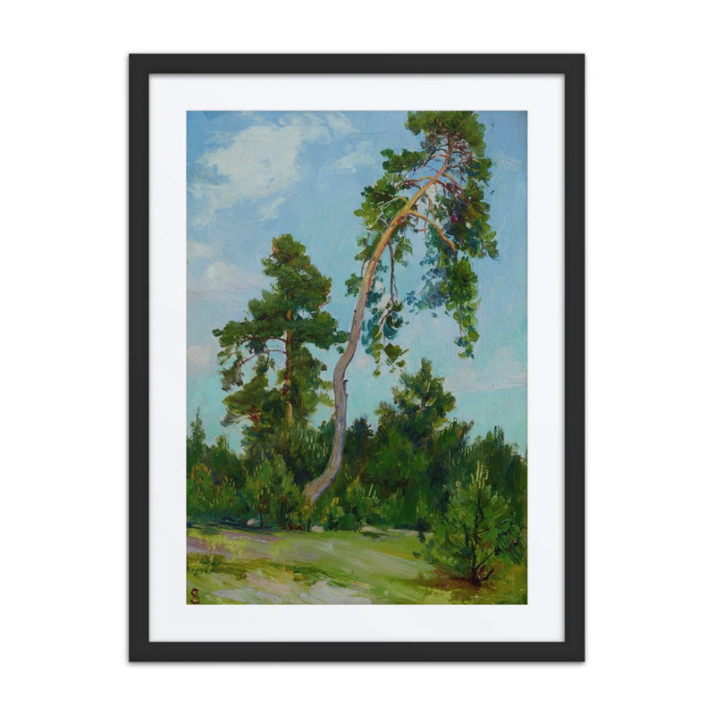 Leaning Pine