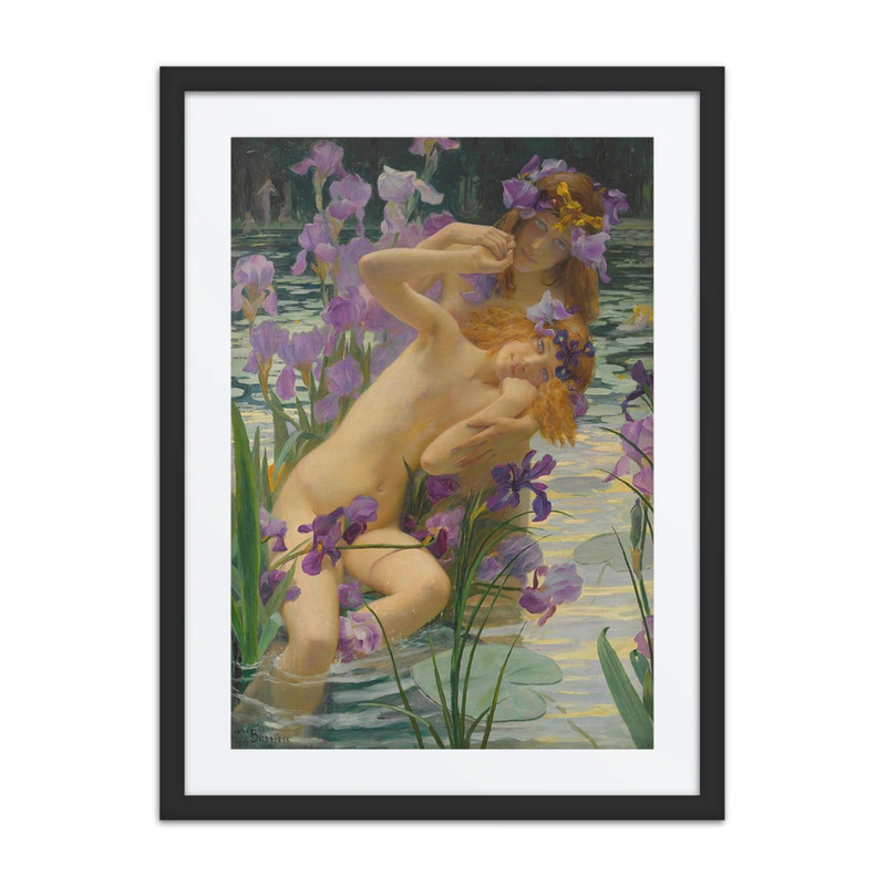 Les Iris