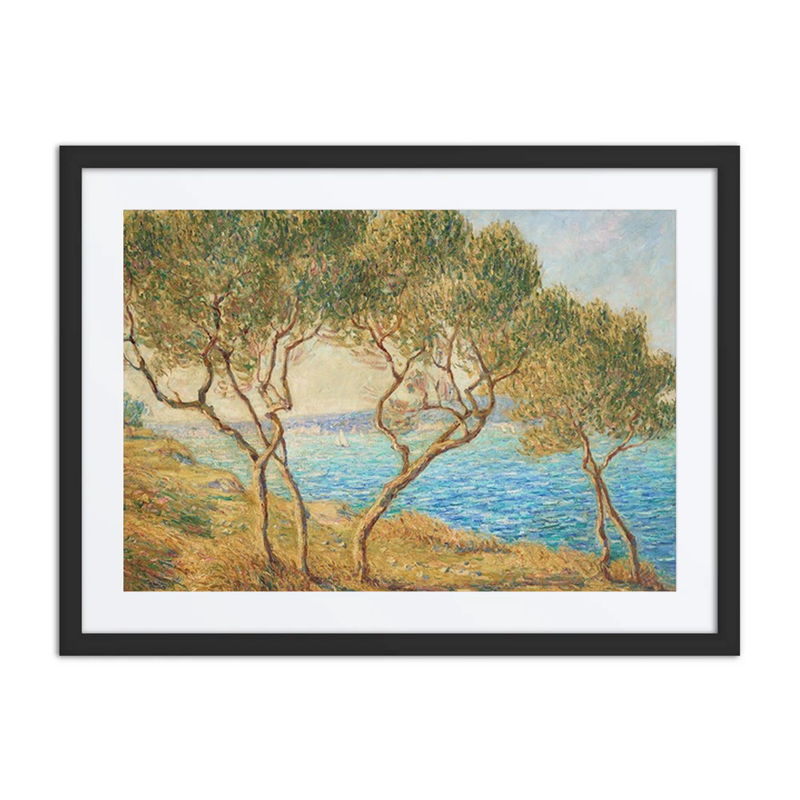 Les Oliviers, Effet de Soleil aux Martigues