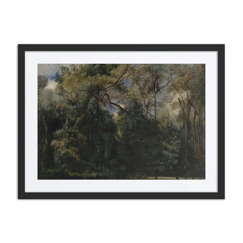 Les Ormes de Saint-Cloud