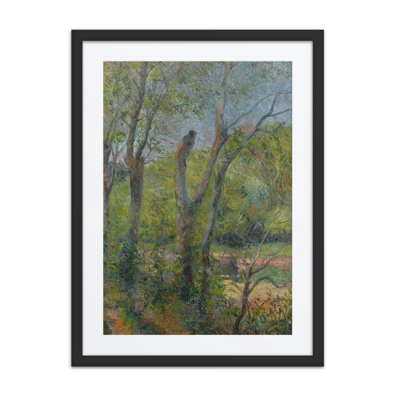 Les Saules