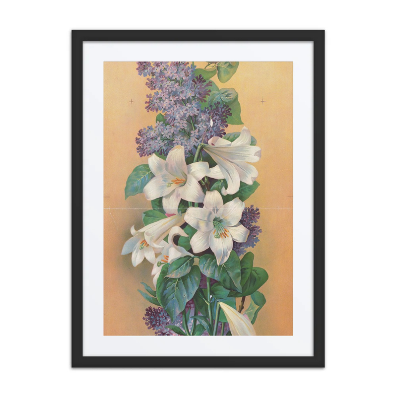 Lilacs and Lilies