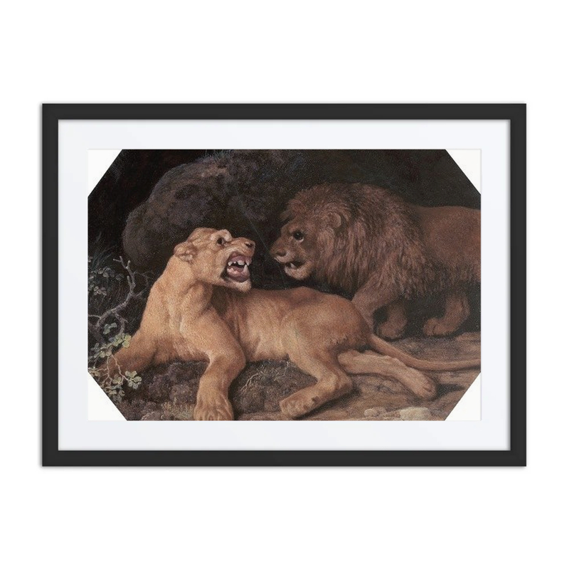 Lion and Lioness