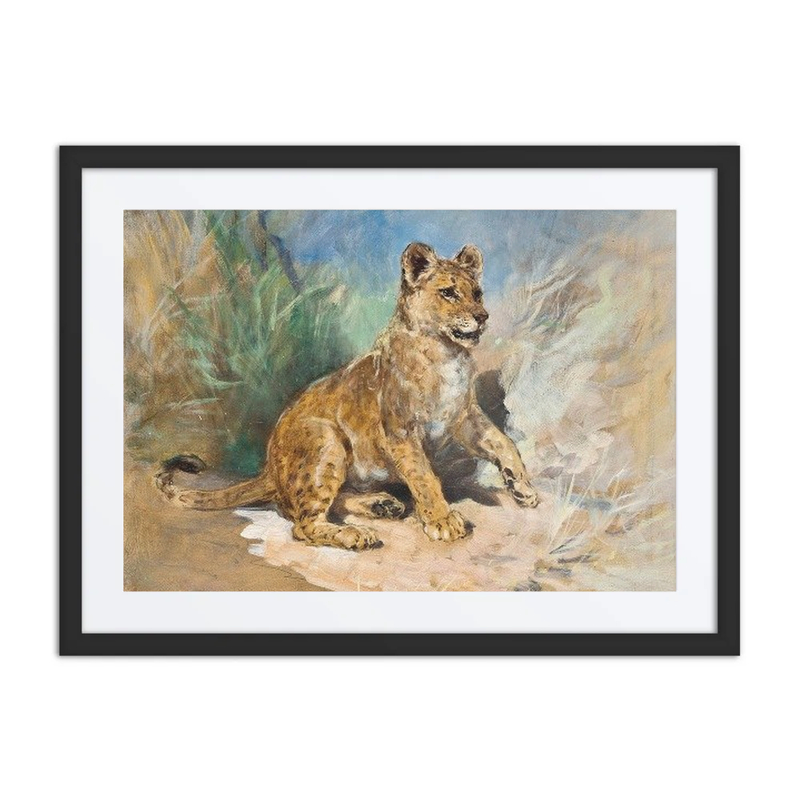 Lion Cub