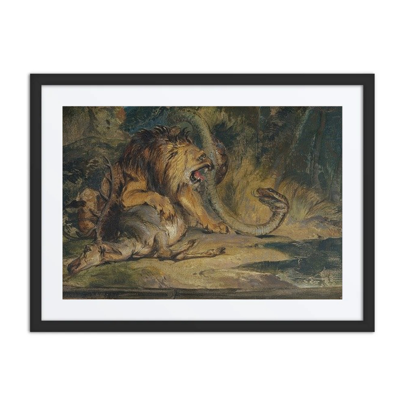 Lion Defending Its Prey