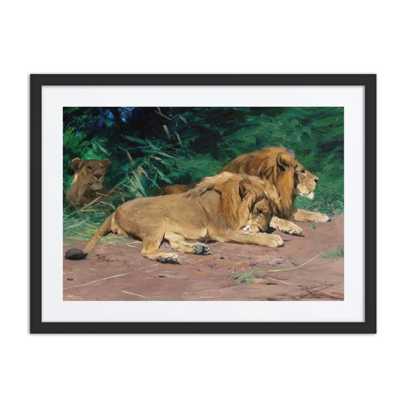 Lions at Rest
