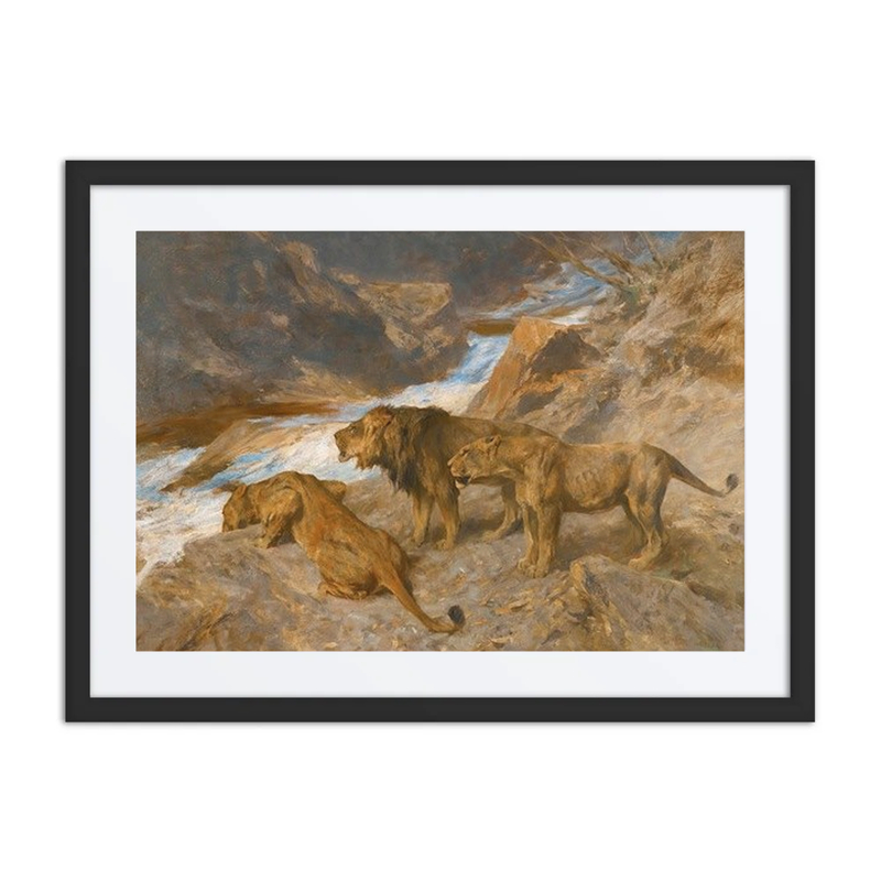 Lions by a Stream