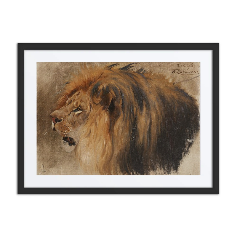 Lion’s Head