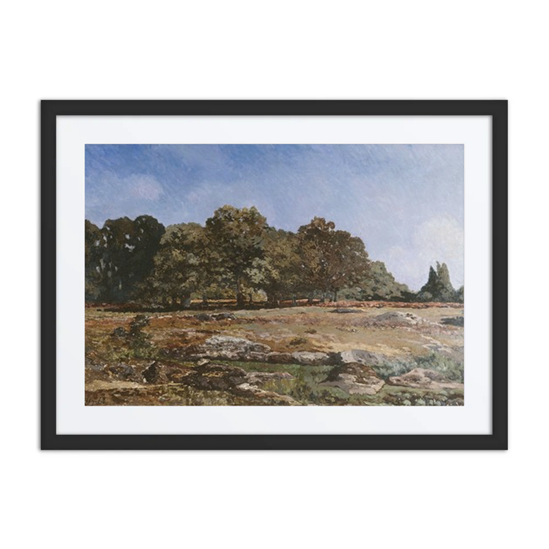 Lisière de la Forêt de Fontainebleau