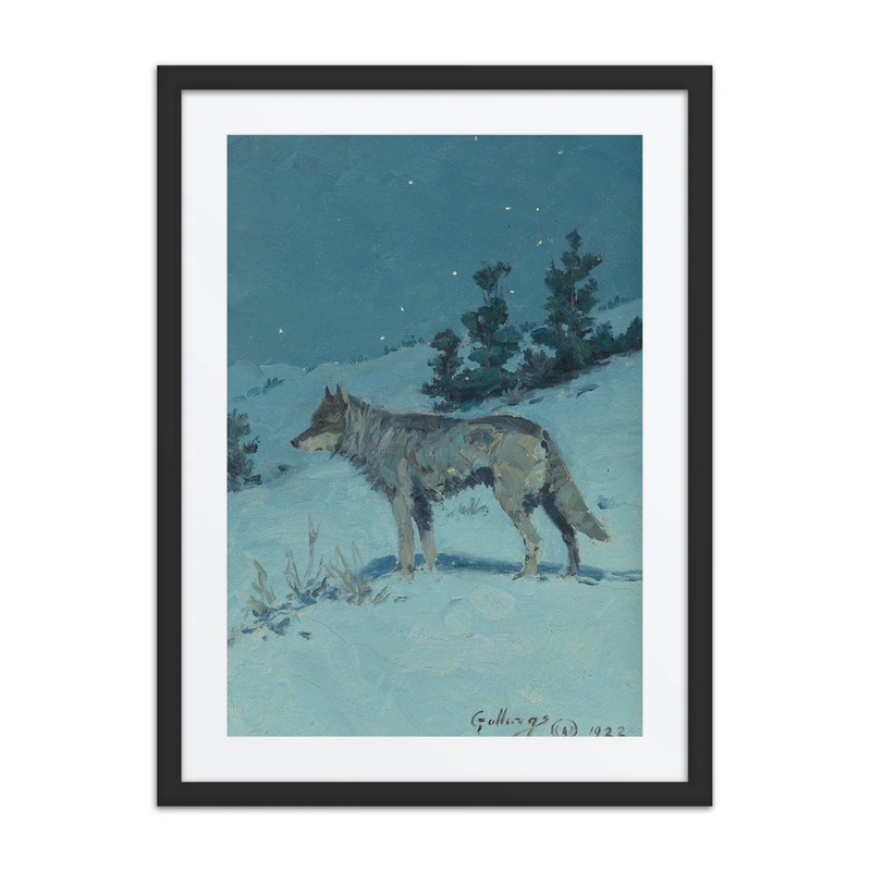 Lone Wolf in Starlight