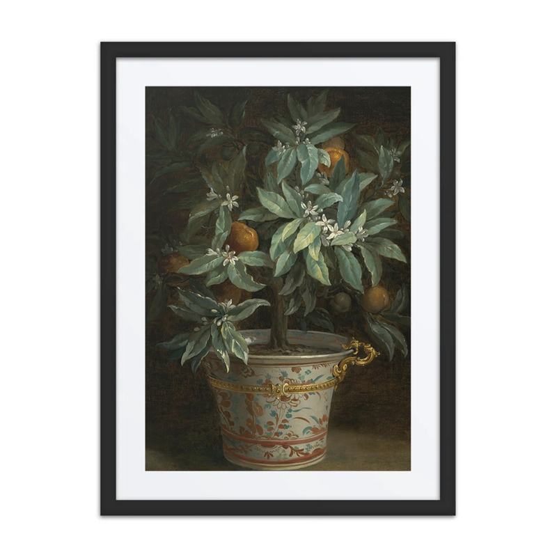 L’Oranger (the Orange Tree)