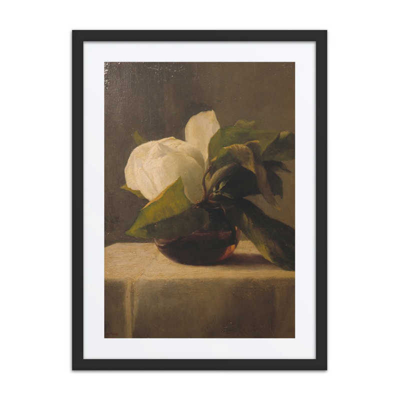 Magnolia