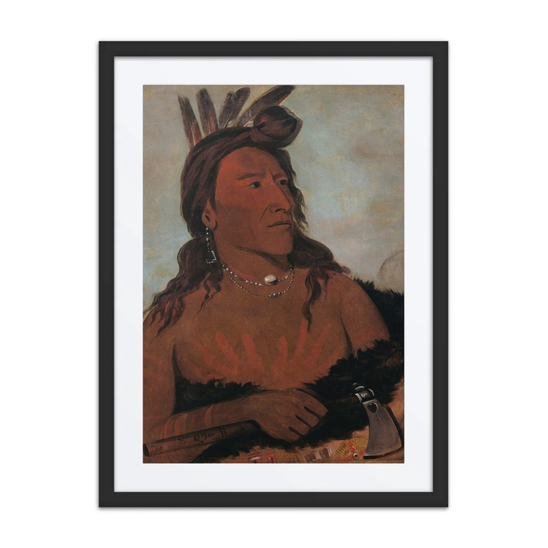 Mah-Tó-Che-Ga, Little Bear, a Hunkpapa Brave