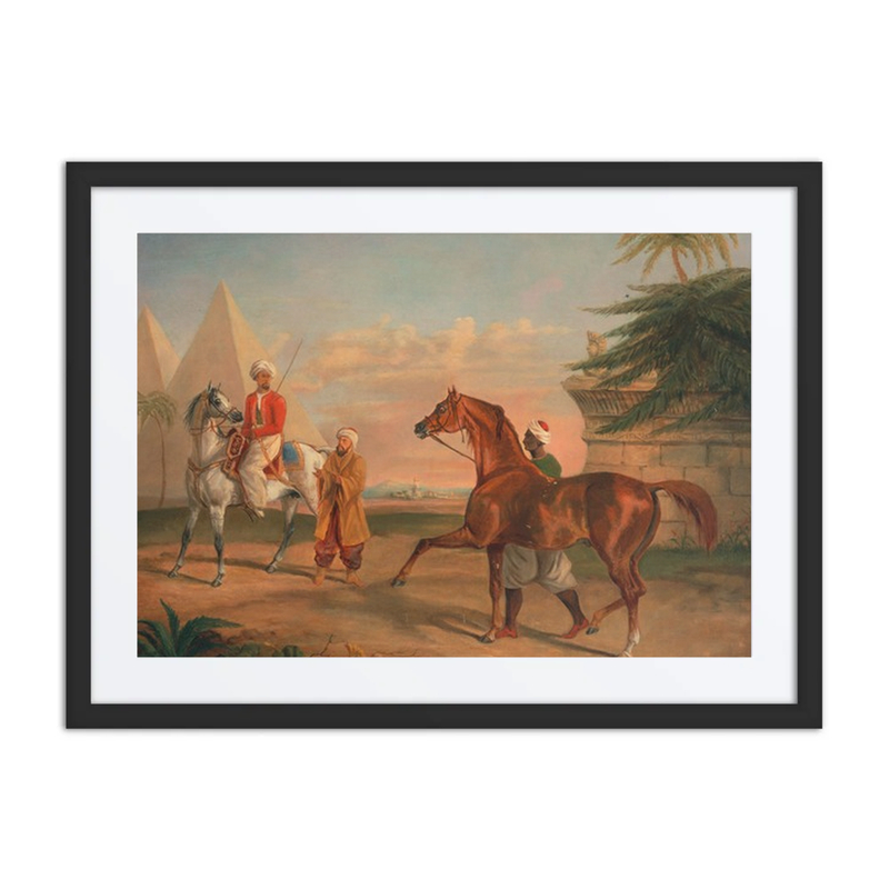 Mameluke Purchasing an Arabian Stallion