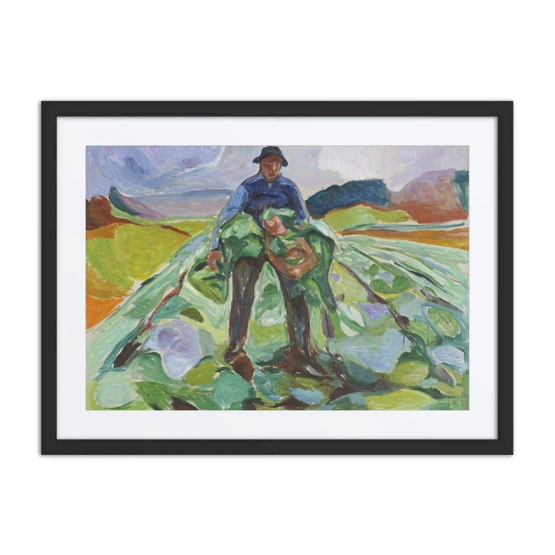 Man in the Cabbage Field