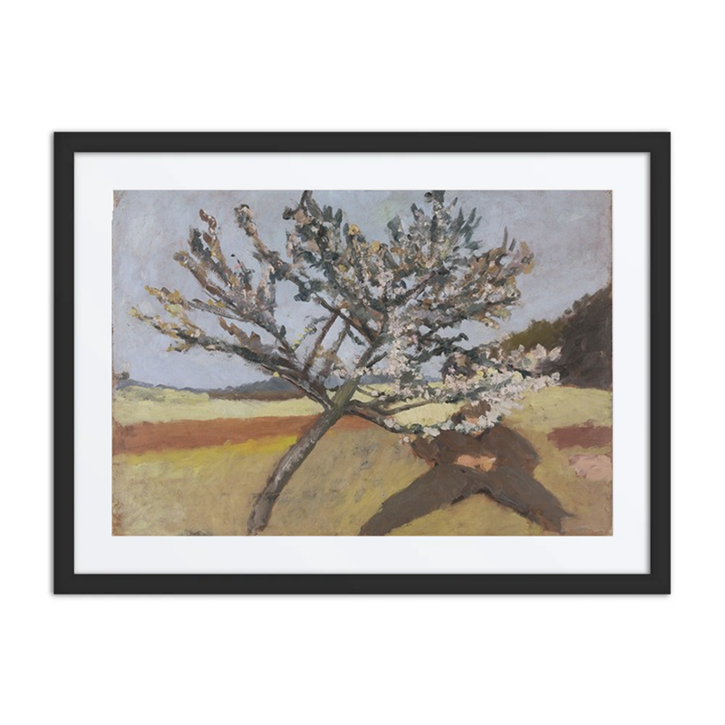 Man Lying Beneath a Blossoming Tree