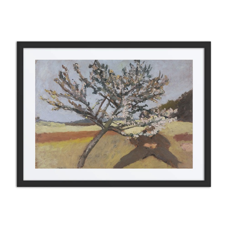 Man Lying Beneath a Blossoming Tree