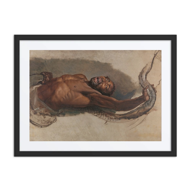 Man Struggling with a Boa Constrictor