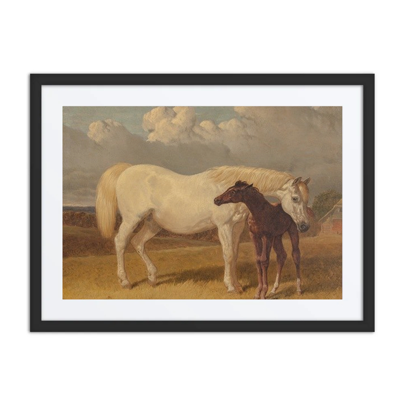 Mare and Foal