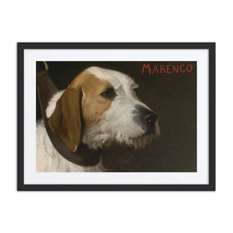 Marengo