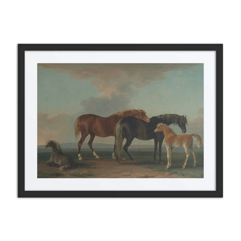 Mares and Foals