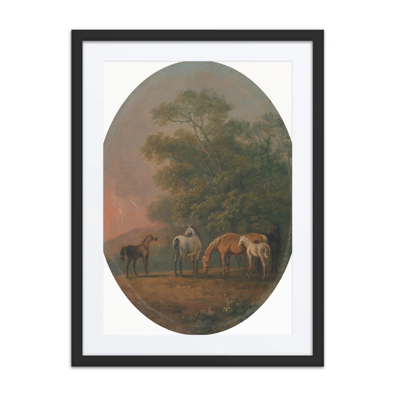 Mares and Foals