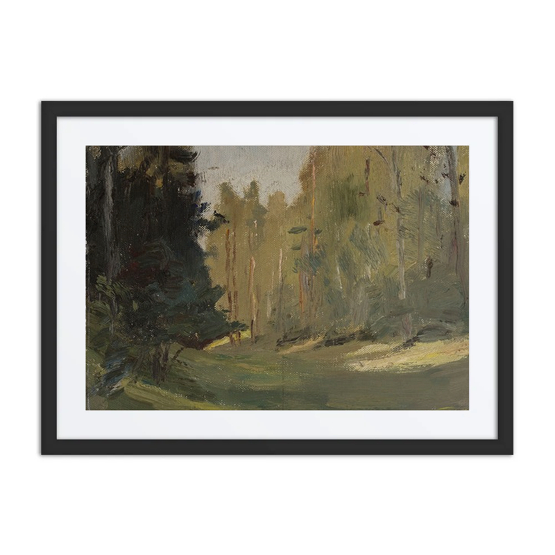 Mariino – Clearing in a Forest