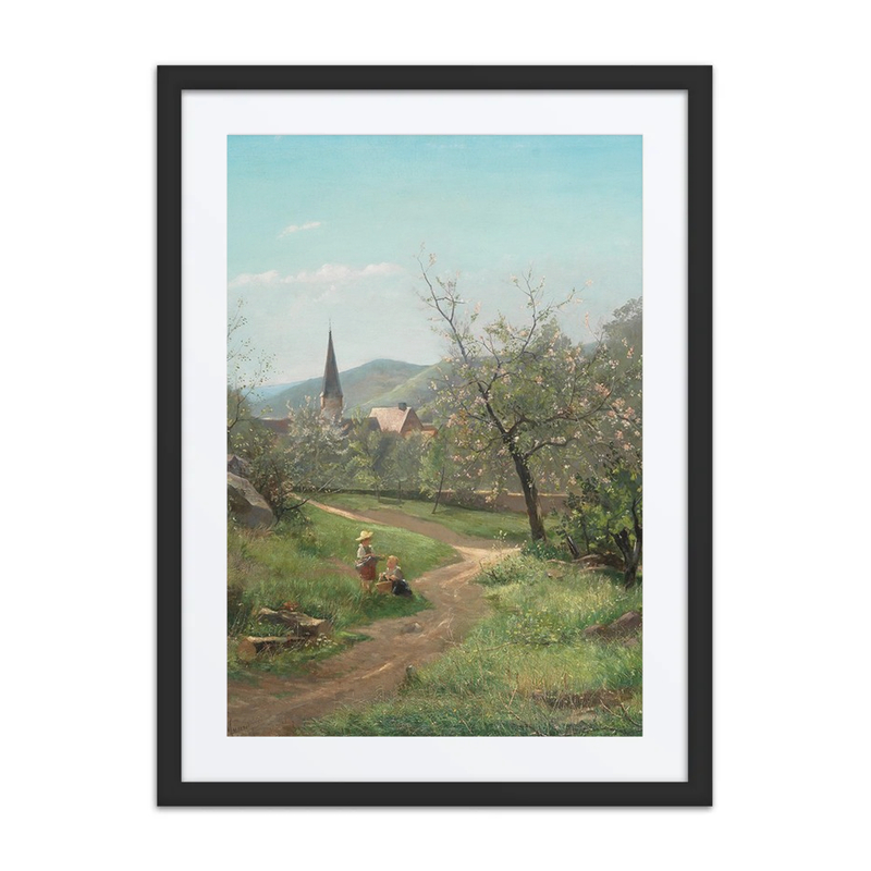 Marillenblüte
