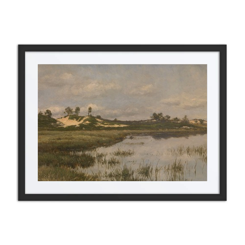 Marsh in the Heath