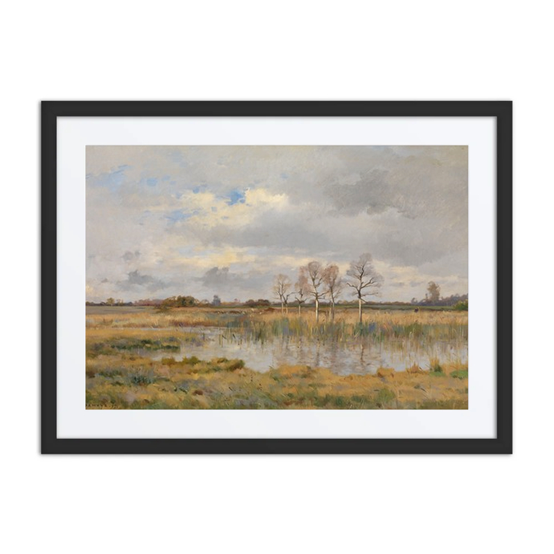 Marsh