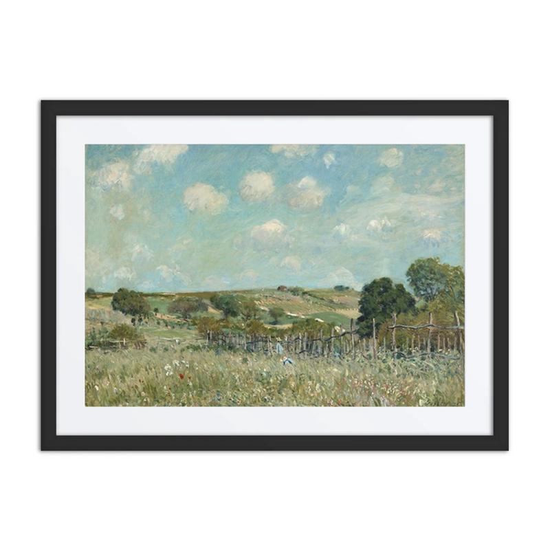 Meadow