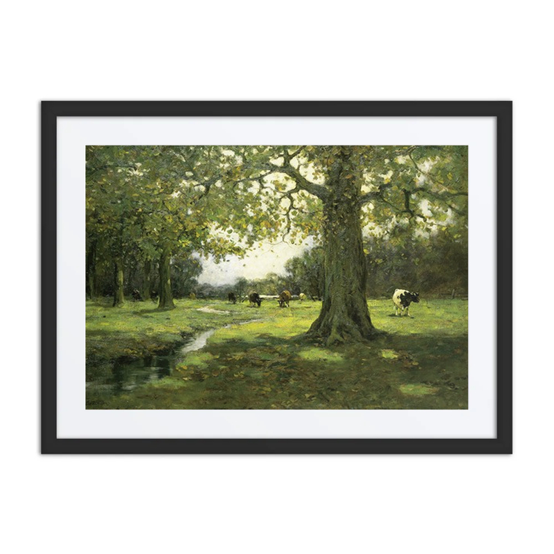 Meadow Brook