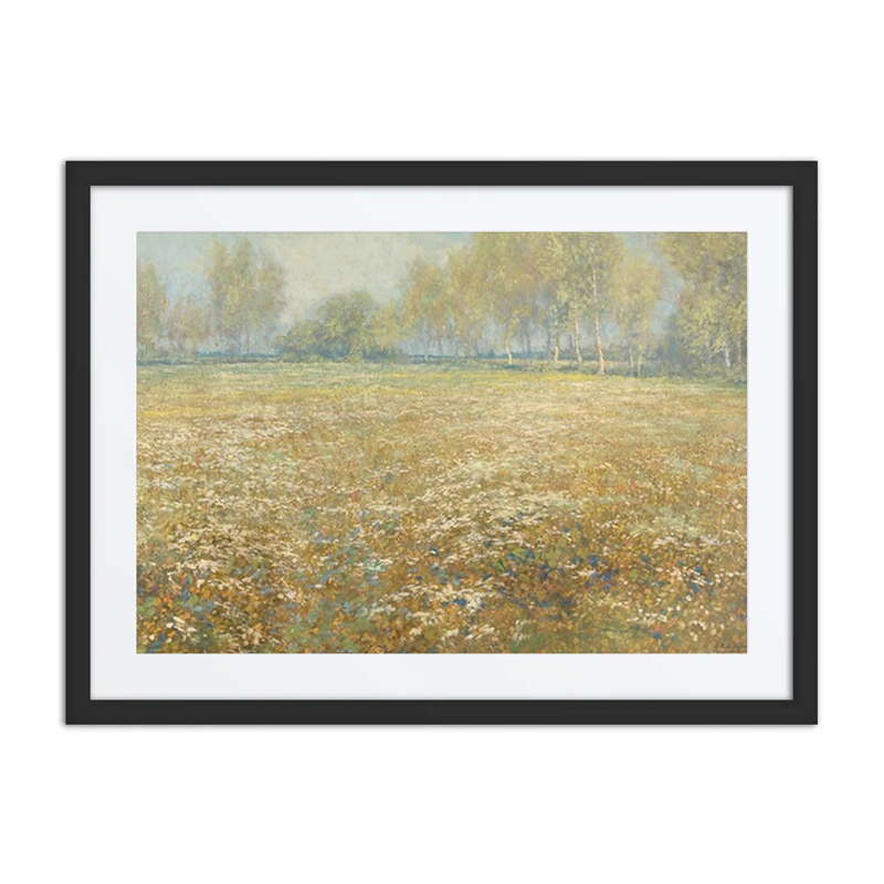 Meadow in Bloom