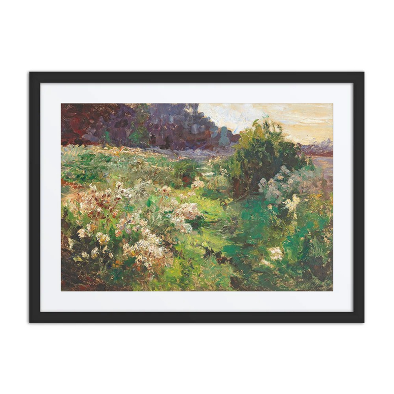 Meadow