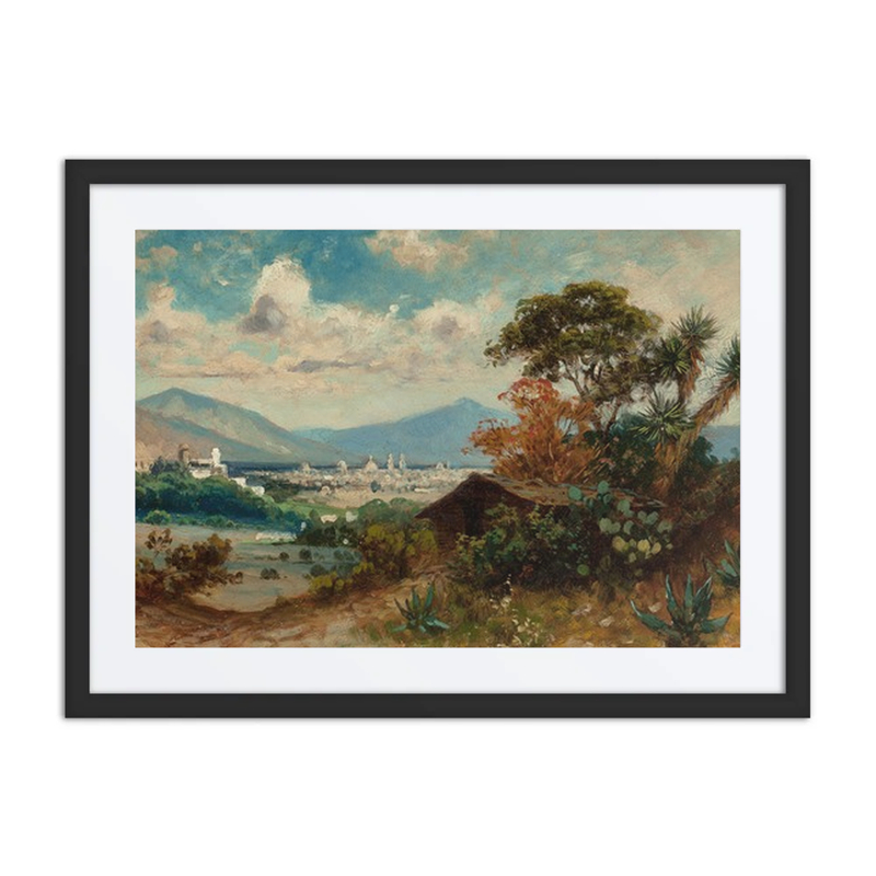 Mexican Landscape