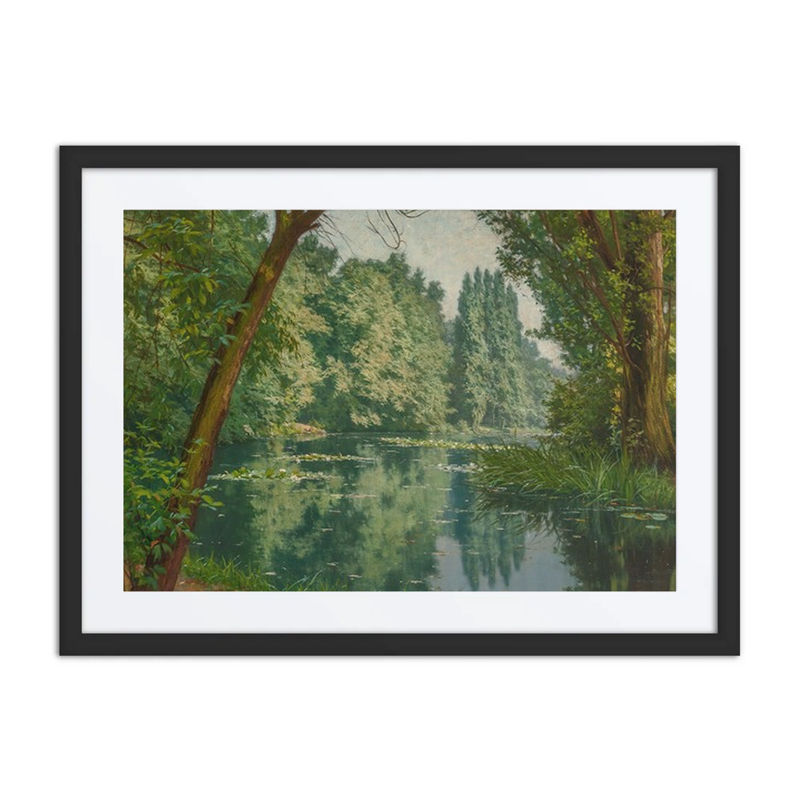 Midsummer Water Lilies
