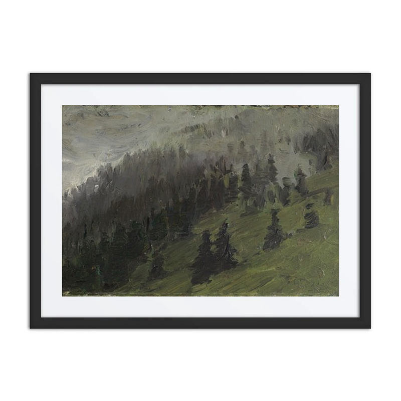 Misty Pines