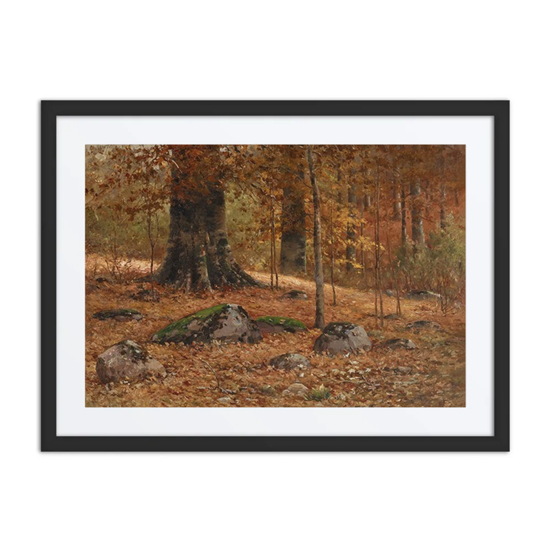 Monarch Beech