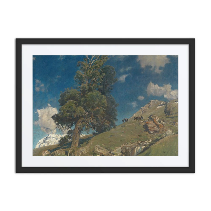 Monte Rosa and Stone Pine