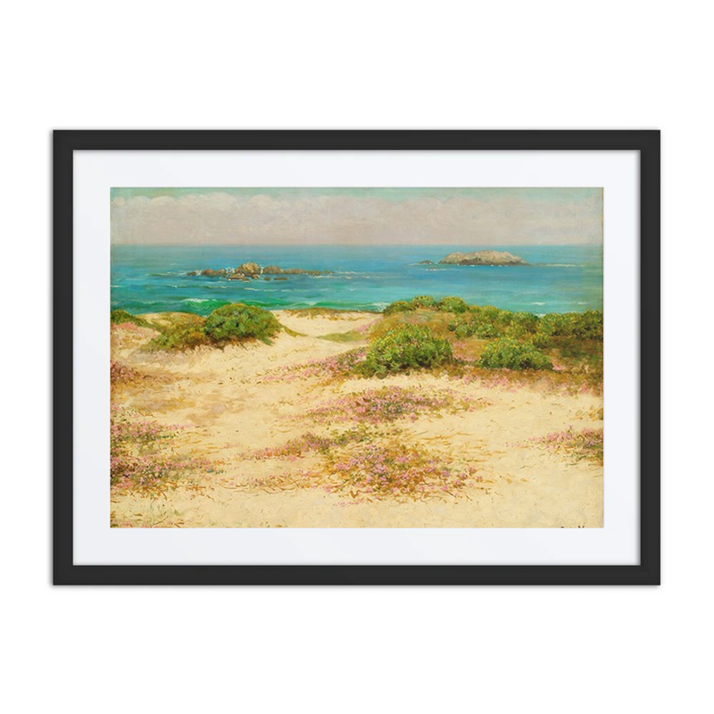 Monterey Coast